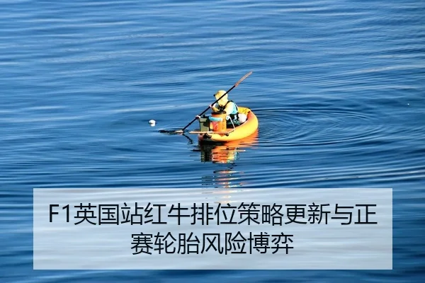 ying-guo-zhan-hong-niu-pai-wei-ce-lve-geng-xin-yu-zheng-sai-lun-tai-feng-xian-bo-yi-2-533.jpg